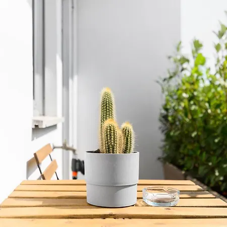 Modern & Cozy With Balcony